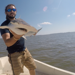 Bryan Keller - PhD in Biological Oceanography